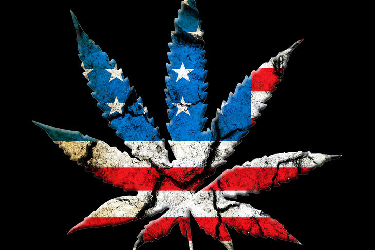 marihuana, cannabis, hasj