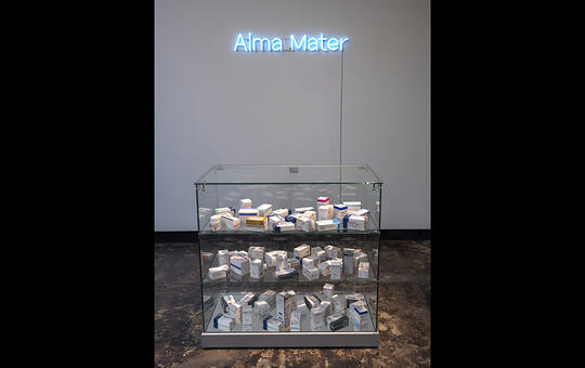 Kunstverket "Alma mater" av Aage A. Mikalsen.