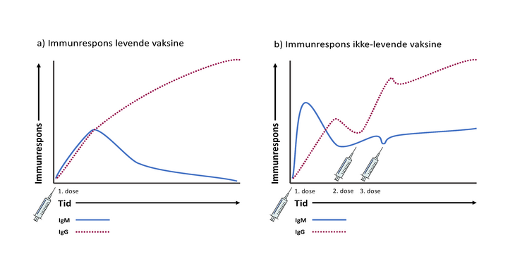 Figur som viser immunrespons fra levende og ikke-levende vaksine